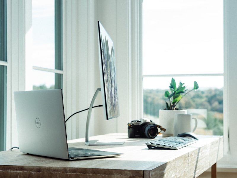 Ergotron LX Monitor Arm